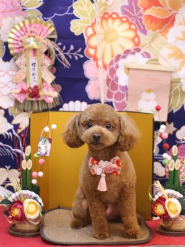 20240123ベルくん